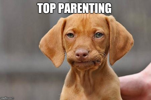 Dissapointed puppy | TOP PARENTING | image tagged in dissapointed puppy | made w/ Imgflip meme maker