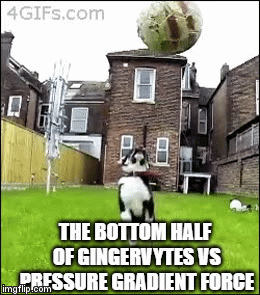 Dog fail | THE BOTTOM HALF OF GINGERVYTES VS PRESSURE GRADIENT FORCE | image tagged in gifs | made w/ Imgflip video-to-gif maker