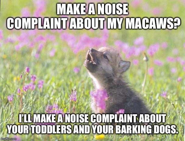 Baby Insanity Wolf Meme | MAKE A NOISE COMPLAINT ABOUT MY MACAWS? I’LL MAKE A NOISE COMPLAINT ABOUT YOUR TODDLERS AND YOUR BARKING DOGS. | image tagged in memes,baby insanity wolf,AdviceAnimals | made w/ Imgflip meme maker