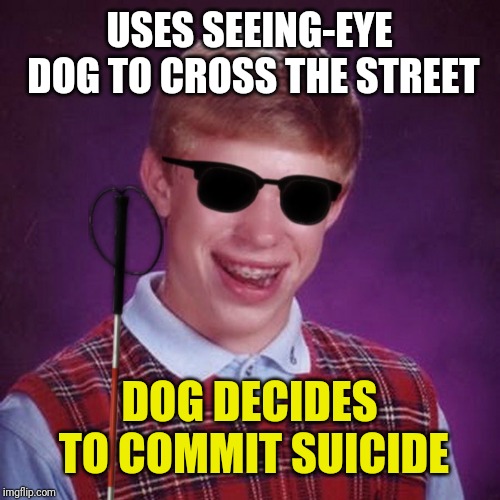 Bad Luck Brian Blind | USES SEEING-EYE DOG TO CROSS THE STREET; DOG DECIDES TO COMMIT SUICIDE | image tagged in bad luck brian blind | made w/ Imgflip meme maker