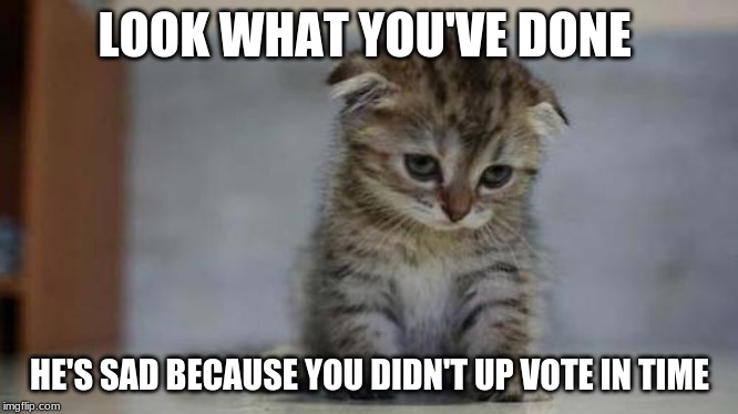 Sad kitten | LOOK WHAT YOU'VE DONE; HE'S SAD BECAUSE YOU DIDN'T UP VOTE IN TIME | image tagged in sad kitten | made w/ Imgflip meme maker