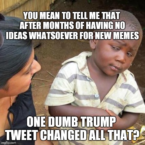 Yes, I do. | YOU MEAN TO TELL ME THAT AFTER MONTHS OF HAVING NO IDEAS WHATSOEVER FOR NEW MEMES; ONE DUMB TRUMP TWEET CHANGED ALL THAT? | image tagged in memes,third world skeptical kid,trump tweet,prince of whales | made w/ Imgflip meme maker