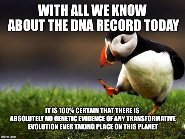 Unpopular Opinion Puffin Meme | WITH ALL WE KNOW ABOUT THE DNA RECORD TODAY; IT IS 100% CERTAIN THAT THERE IS ABSOLUTELY NO GENETIC EVIDENCE OF ANY TRANSFORMATIVE EVOLUTION EVER TAKING PLACE ON THIS PLANET | image tagged in memes,unpopular opinion puffin | made w/ Imgflip meme maker