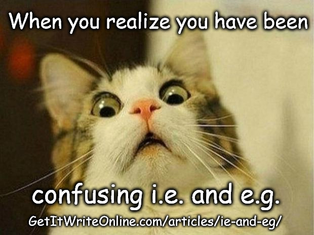 Scared Cat | When you realize you have been; confusing i.e. and e.g. GetItWriteOnline.com/articles/ie-and-eg/ | image tagged in memes,scared cat | made w/ Imgflip meme maker