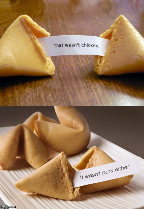 Fortune Cookies | image tagged in fortune cookies | made w/ Imgflip meme maker