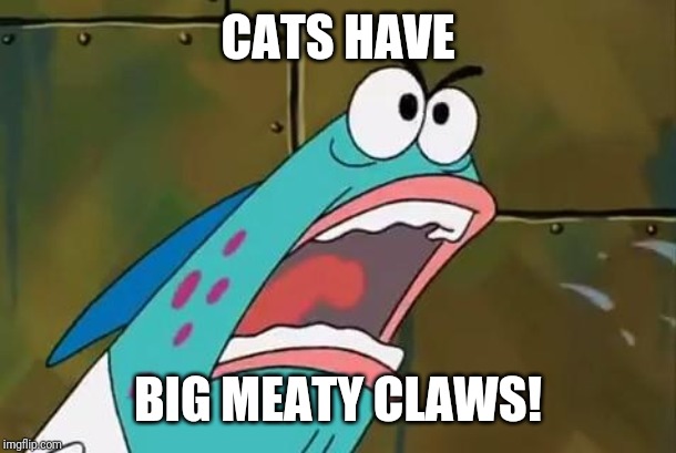 BIG MEATY CLAW | CATS HAVE BIG MEATY CLAWS! | image tagged in big meaty claw | made w/ Imgflip meme maker