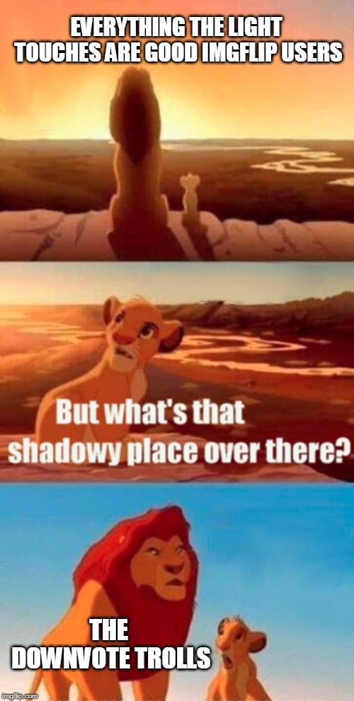 Simba Shadowy Place | EVERYTHING THE LIGHT TOUCHES ARE GOOD IMGFLIP USERS; THE DOWNVOTE TROLLS | image tagged in memes,simba shadowy place | made w/ Imgflip meme maker