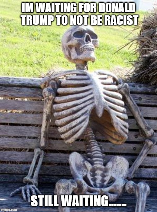 Waiting Skeleton | IM WAITING FOR DONALD TRUMP TO NOT BE RACIST; STILL WAITING....... | image tagged in memes,waiting skeleton | made w/ Imgflip meme maker