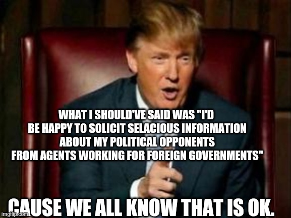 Donald Trump | WHAT I SHOULD'VE SAID WAS "I'D BE HAPPY TO SOLICIT SELACIOUS INFORMATION ABOUT MY POLITICAL OPPONENTS FROM AGENTS WORKING FOR FOREIGN GOVERN | image tagged in donald trump | made w/ Imgflip meme maker