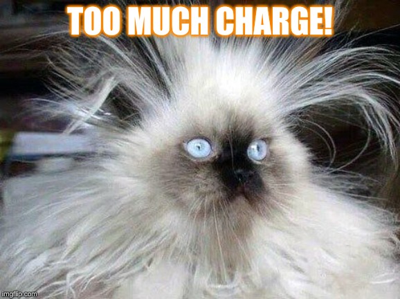 Crazy Hair Cat | TOO MUCH CHARGE! | image tagged in crazy hair cat | made w/ Imgflip meme maker