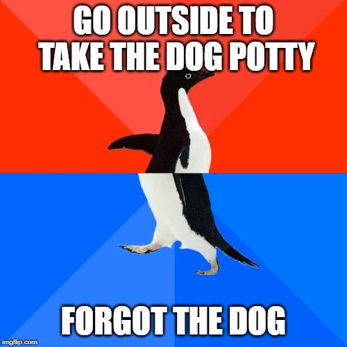 Socially Awesome Awkward Penguin Meme | GO OUTSIDE TO TAKE THE DOG POTTY; FORGOT THE DOG | image tagged in memes,socially awesome awkward penguin,AdviceAnimals | made w/ Imgflip meme maker