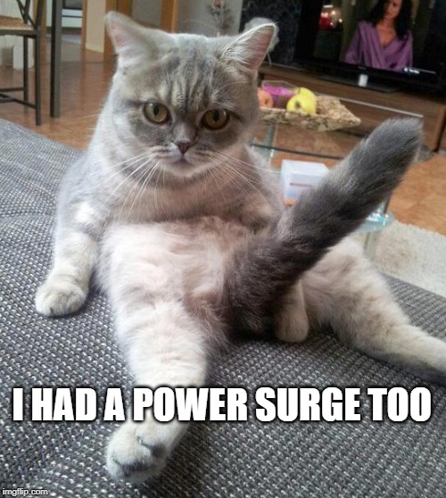 Sexy Cat Meme | I HAD A POWER SURGE TOO | image tagged in memes,sexy cat | made w/ Imgflip meme maker