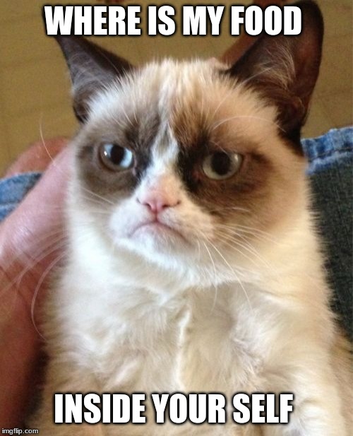 Grumpy Cat Meme | WHERE IS MY FOOD; INSIDE YOUR SELF | image tagged in memes,grumpy cat | made w/ Imgflip meme maker