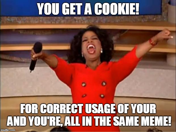 Oprah You Get A Meme | YOU GET A COOKIE! FOR CORRECT USAGE OF YOUR AND YOU'RE, ALL IN THE SAME MEME! | image tagged in memes,oprah you get a | made w/ Imgflip meme maker