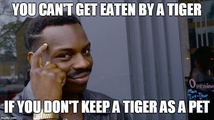 Roll Safe Think About It Meme | YOU CAN'T GET EATEN BY A TIGER IF YOU DON'T KEEP A TIGER AS A PET | image tagged in memes,roll safe think about it | made w/ Imgflip meme maker