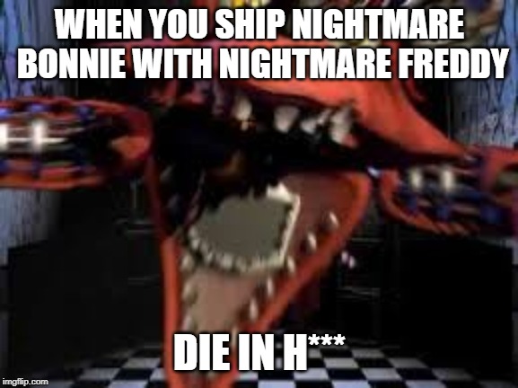 LEL | WHEN YOU SHIP NIGHTMARE BONNIE WITH NIGHTMARE FREDDY; DIE IN H*** | image tagged in fnaf,true story | made w/ Imgflip meme maker