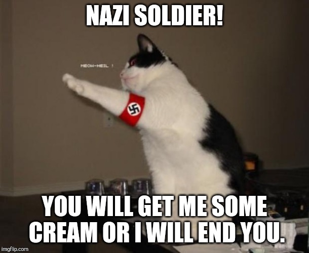 hitler cat | NAZI SOLDIER! YOU WILL GET ME SOME CREAM OR I WILL END YOU. | image tagged in hitler cat | made w/ Imgflip meme maker