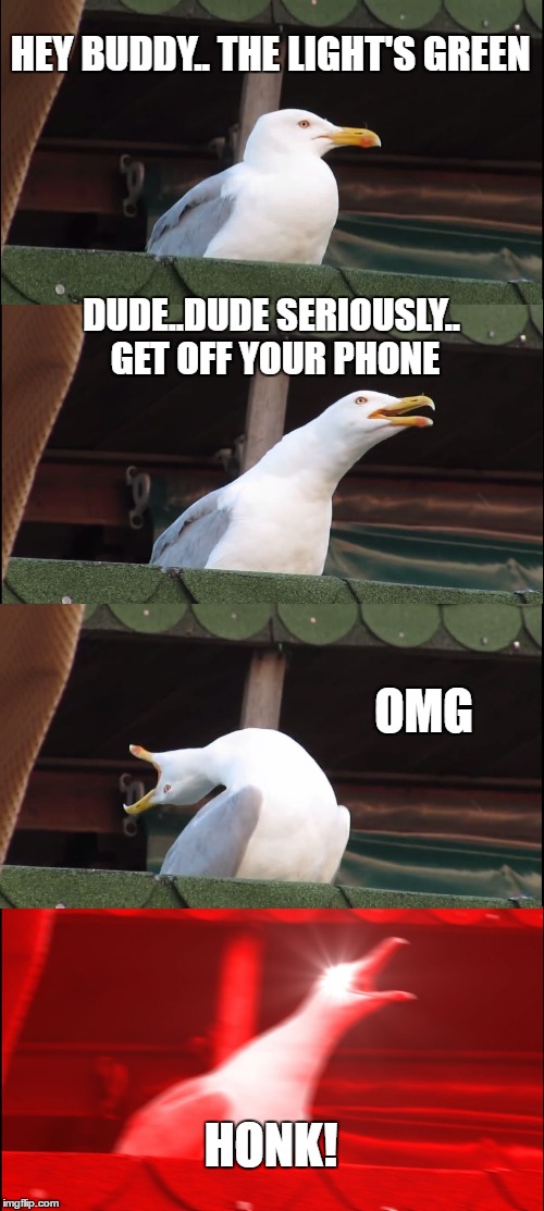 The Light's Green | HEY BUDDY.. THE LIGHT'S GREEN; DUDE..DUDE SERIOUSLY.. GET OFF YOUR PHONE; OMG; HONK! | image tagged in memes,inhaling seagull,traffic light,omg | made w/ Imgflip meme maker