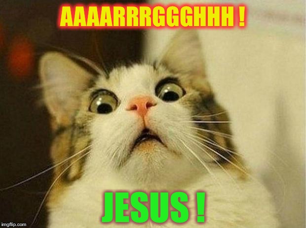 frightened cat | AAAARRRGGGHHH ! JESUS ! | image tagged in frightened cat | made w/ Imgflip meme maker