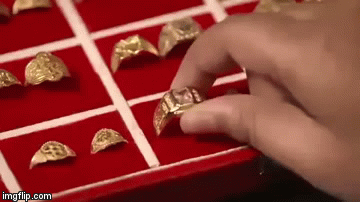 image tagged in gifs | made w/ Imgflip video-to-gif maker