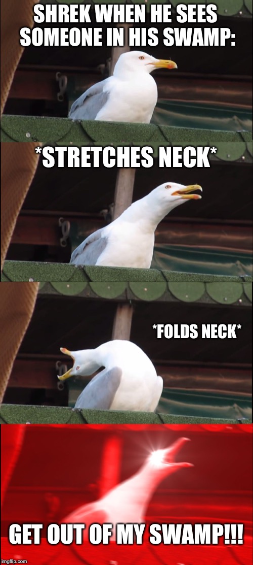 Inhaling Seagull Meme | SHREK WHEN HE SEES SOMEONE IN HIS SWAMP:; *STRETCHES NECK*; *FOLDS NECK*; GET OUT OF MY SWAMP!!! | image tagged in memes,inhaling seagull | made w/ Imgflip meme maker