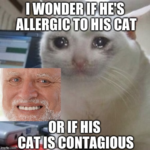 Crying cat | I WONDER IF HE'S ALLERGIC TO HIS CAT; OR IF HIS CAT IS CONTAGIOUS | image tagged in crying cat | made w/ Imgflip meme maker