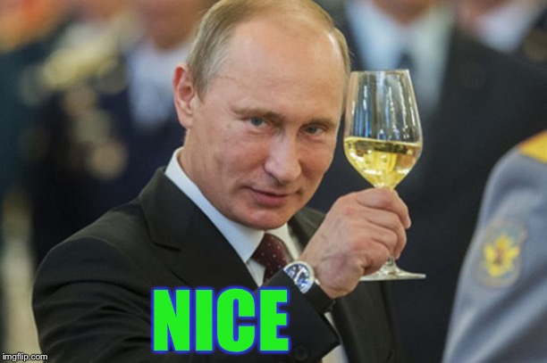 Putin Cheers | NICE | image tagged in putin cheers | made w/ Imgflip meme maker