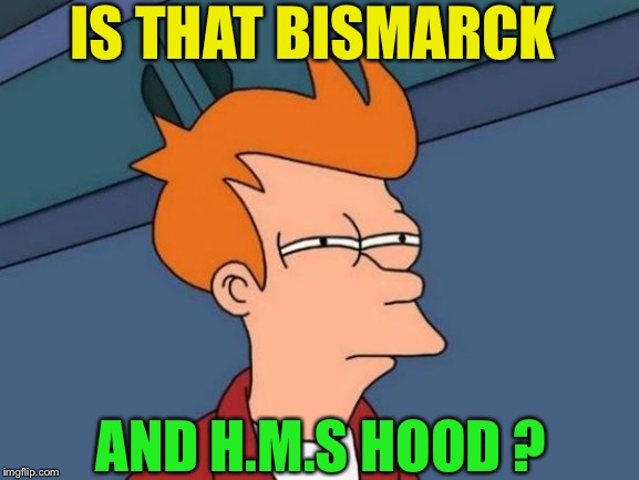 Futurama Fry Meme | IS THAT BISMARCK AND H.M.S HOOD ? | image tagged in memes,futurama fry | made w/ Imgflip meme maker