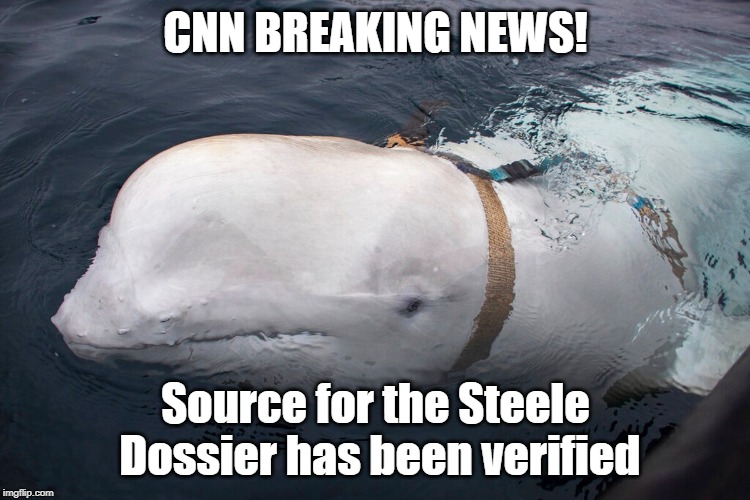 It was ALL true after all | CNN BREAKING NEWS! Source for the Steele Dossier has been verified | image tagged in spy whale,steele dossier,christopher steele,cnn,fake news | made w/ Imgflip meme maker