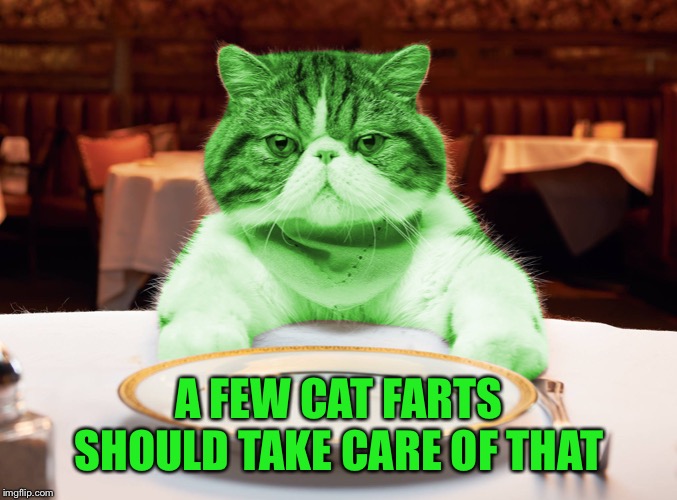 RayCat Hungry | A FEW CAT FARTS SHOULD TAKE CARE OF THAT | image tagged in raycat hungry | made w/ Imgflip meme maker