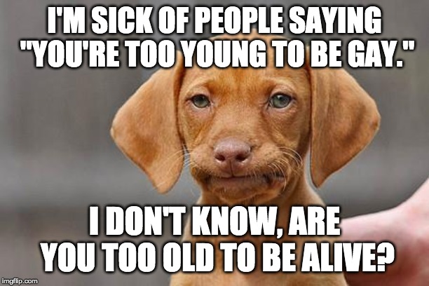 Pride month 2019 | I'M SICK OF PEOPLE SAYING "YOU'RE TOO YOUNG TO BE GAY."; I DON'T KNOW, ARE YOU TOO OLD TO BE ALIVE? | image tagged in dissapointed puppy,unamused,gay pride,pride month,old people | made w/ Imgflip meme maker