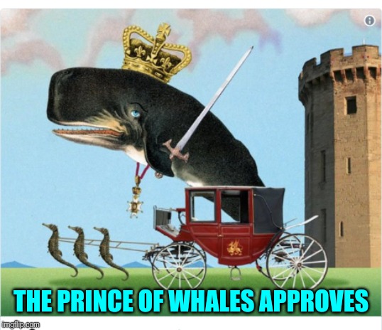 THE PRINCE OF WHALES APPROVES | made w/ Imgflip meme maker