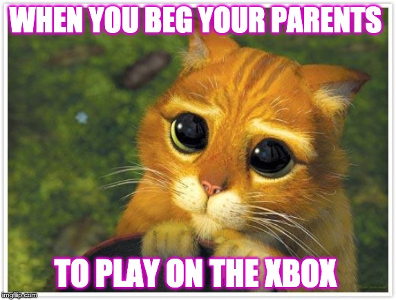 Shrek Cat | WHEN YOU BEG YOUR PARENTS; TO PLAY ON THE XBOX | image tagged in memes,shrek cat | made w/ Imgflip meme maker