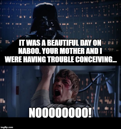 Star Wars No | IT WAS A BEAUTIFUL DAY ON NABOO. YOUR MOTHER AND I  WERE HAVING TROUBLE CONCEIVING... NOOOOOOOO! | image tagged in memes,star wars no | made w/ Imgflip meme maker