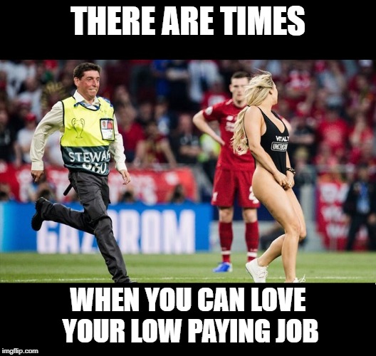 low paying job |  THERE ARE TIMES; WHEN YOU CAN LOVE YOUR LOW PAYING JOB | image tagged in job | made w/ Imgflip meme maker