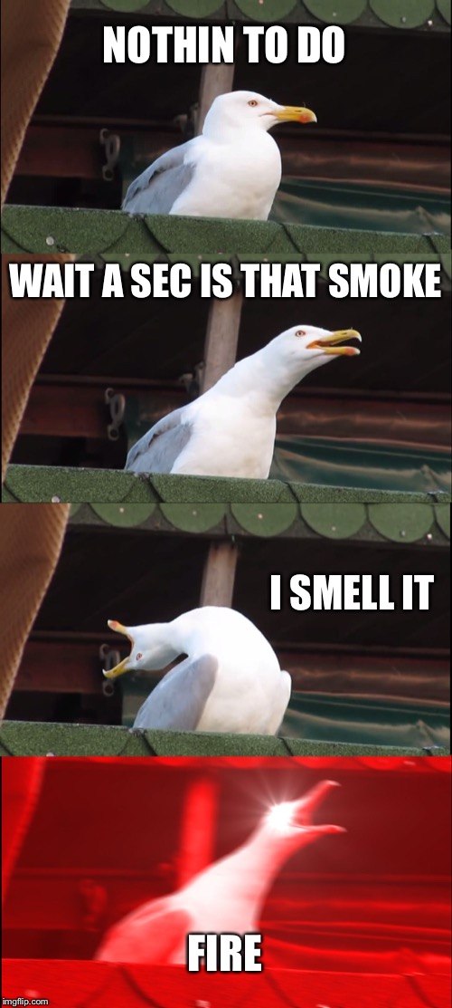 Inhaling Seagull | NOTHIN TO DO; WAIT A SEC IS THAT SMOKE; I SMELL IT; FIRE | image tagged in memes,inhaling seagull | made w/ Imgflip meme maker