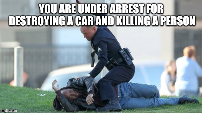 Cop Beating | YOU ARE UNDER ARREST FOR DESTROYING A CAR AND KILLING A PERSON | image tagged in cop beating | made w/ Imgflip meme maker