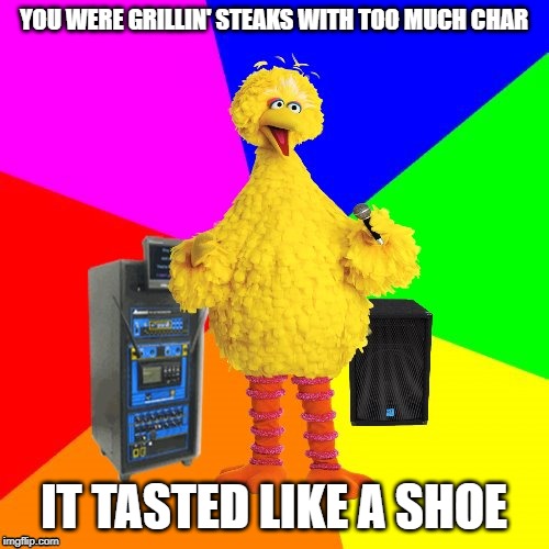 Wrong lyrics karaoke big bird | YOU WERE GRILLIN' STEAKS WITH TOO MUCH CHAR IT TASTED LIKE A SHOE | image tagged in wrong lyrics karaoke big bird | made w/ Imgflip meme maker