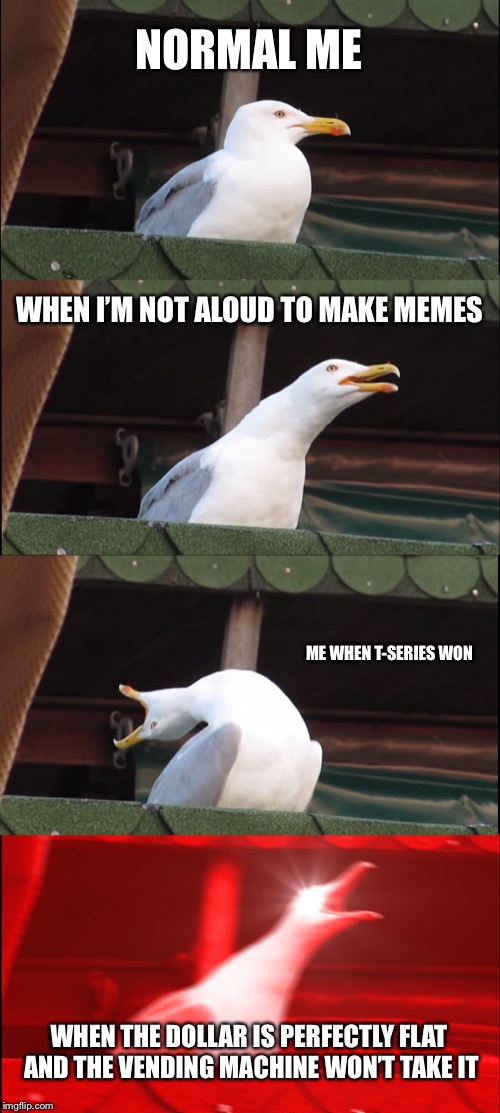 Inhaling Seagull Meme | NORMAL ME; WHEN I’M NOT ALOUD TO MAKE MEMES; ME WHEN T-SERIES WON; WHEN THE DOLLAR IS PERFECTLY FLAT AND THE VENDING MACHINE WON’T TAKE IT | image tagged in memes,inhaling seagull | made w/ Imgflip meme maker