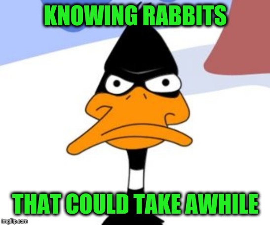 Daffy Duck not amused | KNOWING RABBITS THAT COULD TAKE AWHILE | image tagged in daffy duck not amused | made w/ Imgflip meme maker