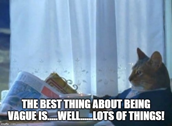 I Should Buy A Boat Cat Meme | THE BEST THING ABOUT BEING VAGUE IS.....WELL......LOTS OF THINGS! | image tagged in memes,i should buy a boat cat | made w/ Imgflip meme maker
