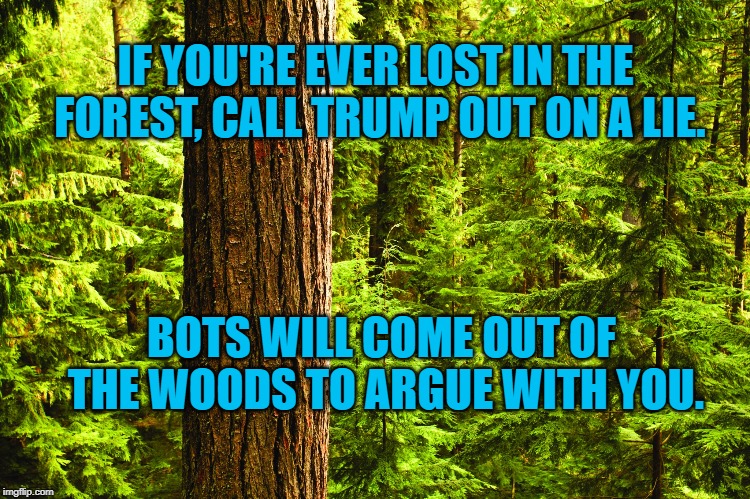 Forest | IF YOU'RE EVER LOST IN THE FOREST, CALL TRUMP OUT ON A LIE. BOTS WILL COME OUT OF THE WOODS TO ARGUE WITH YOU. | image tagged in politics | made w/ Imgflip meme maker