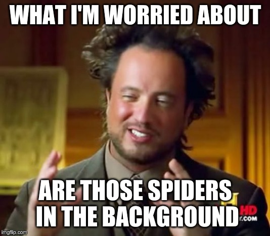 Ancient Aliens Meme | WHAT I'M WORRIED ABOUT ARE THOSE SPIDERS IN THE BACKGROUND | image tagged in memes,ancient aliens | made w/ Imgflip meme maker