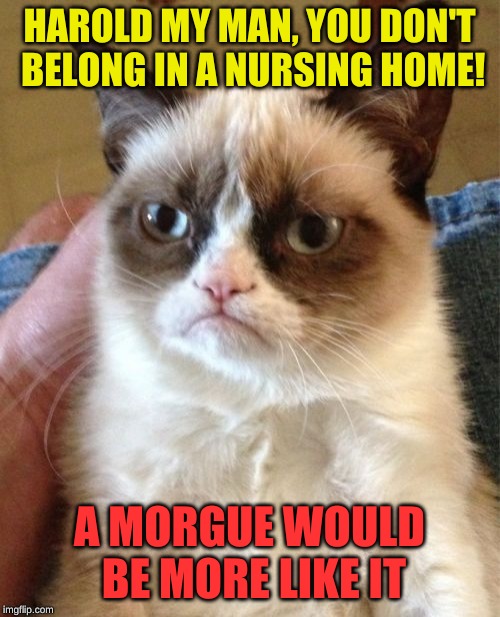 Grumpy Cat Meme | HAROLD MY MAN, YOU DON'T BELONG IN A NURSING HOME! A MORGUE WOULD BE MORE LIKE IT | image tagged in memes,grumpy cat | made w/ Imgflip meme maker