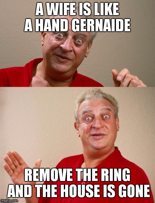 Classic Rodney | A WIFE IS LIKE A HAND GERNAIDE; REMOVE THE RING AND THE HOUSE IS GONE | image tagged in classic rodney | made w/ Imgflip meme maker