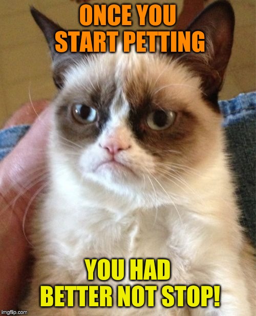 Grumpy Cat Meme | ONCE YOU START PETTING YOU HAD BETTER NOT STOP! | image tagged in memes,grumpy cat | made w/ Imgflip meme maker