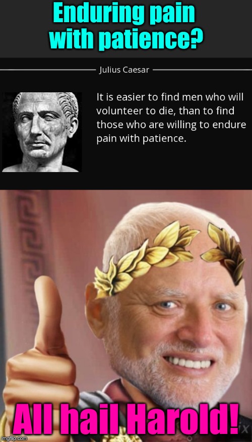 The True Emperor; Hide the Pain Harold Weekend (June 14-17, a LordCheesus and Craziness_all_the_way Event!) |  Enduring pain with patience? All hail Harold! | image tagged in memes,hide the pain harold,upvoting roman,hide the pain harold weekend,lordcheesus,craziness_all_the_way | made w/ Imgflip meme maker