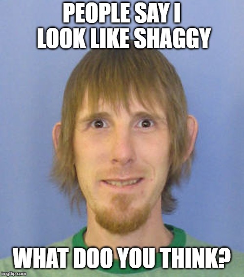 PEOPLE SAY I LOOK LIKE SHAGGY WHAT DOO YOU THINK? | made w/ Imgflip meme maker