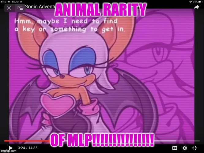 Animal rarity from mlp! | ANIMAL RARITY; OF MLP!!!!!!!!!!!!!!! | image tagged in animal rarity from mlp | made w/ Imgflip meme maker