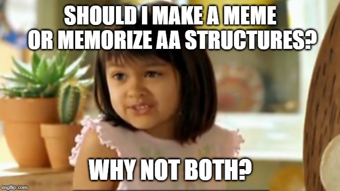 Porque no los dos | SHOULD I MAKE A MEME OR MEMORIZE AA STRUCTURES? WHY NOT BOTH? | image tagged in porque no los dos | made w/ Imgflip meme maker